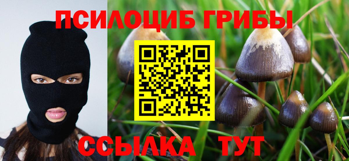 Галлюциногенные грибы Cubensis Белово