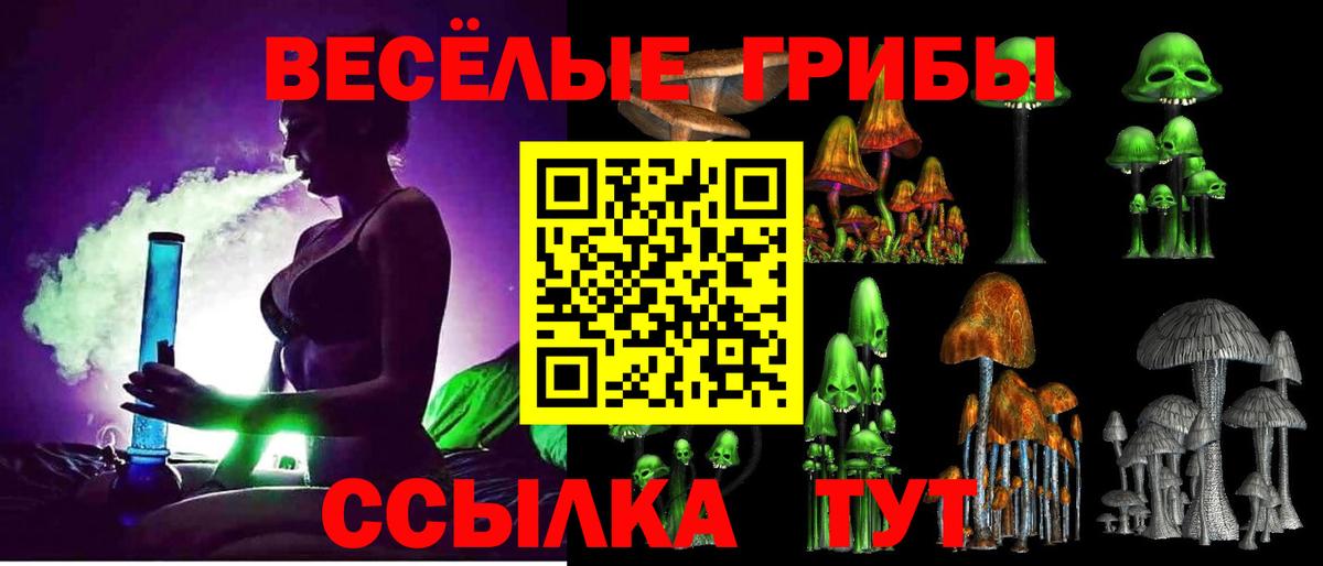 Псилоцибиновые грибы мицелий  Вход с VPN  Белово 